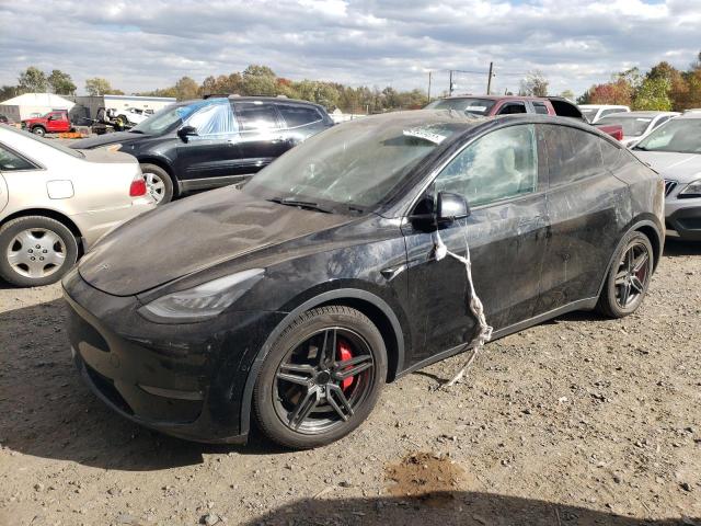 TESLA MODEL Y 2021 5yjygdef7mf089155