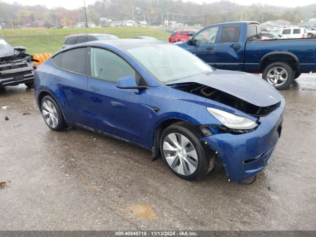 TESLA MODEL Y 2020 5yjygdef8lf005746