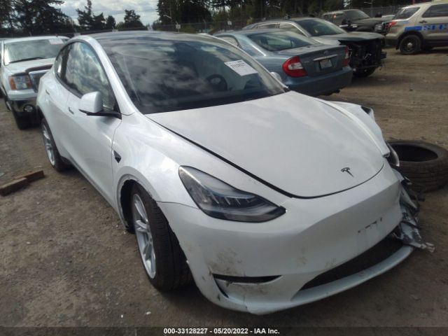 TESLA MODEL Y 2020 5yjygdef8lf005892