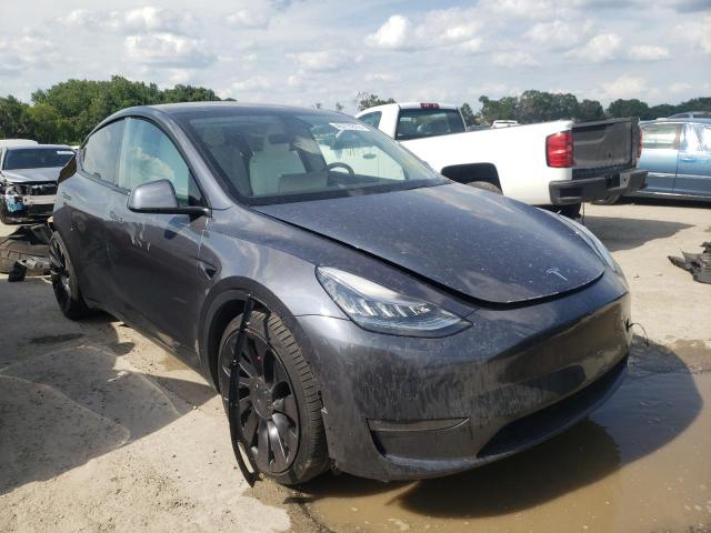 TESLA MODEL Y 2020 5yjygdef9lf025875