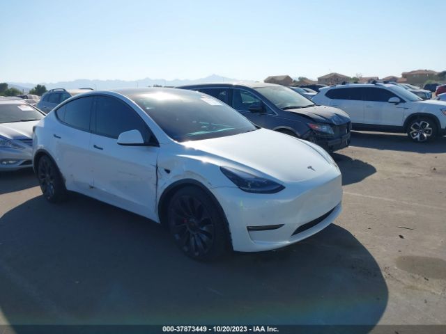 TESLA MODEL Y 2021 5yjygdef9mf294489