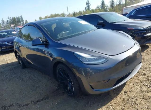 TESLA MODEL Y 2020 5yjygdefxlf023908