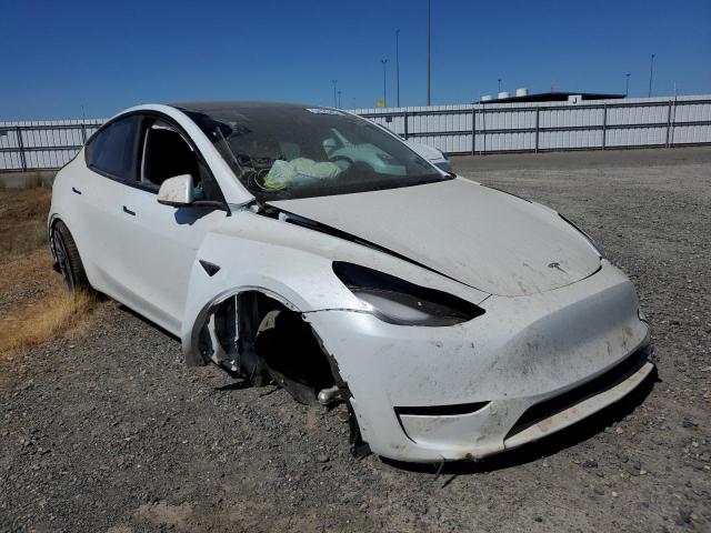 TESLA MODEL Y 2021 5yjygdefxmf258309