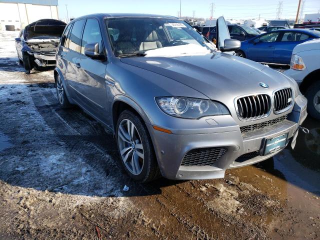 BMW X5 M 2013 5ymgy0c51dll15562