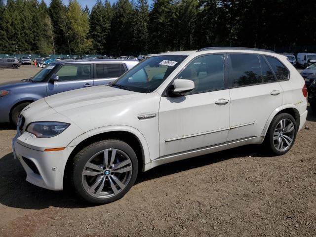 BMW X5 2013 5ymgy0c54d0c11913