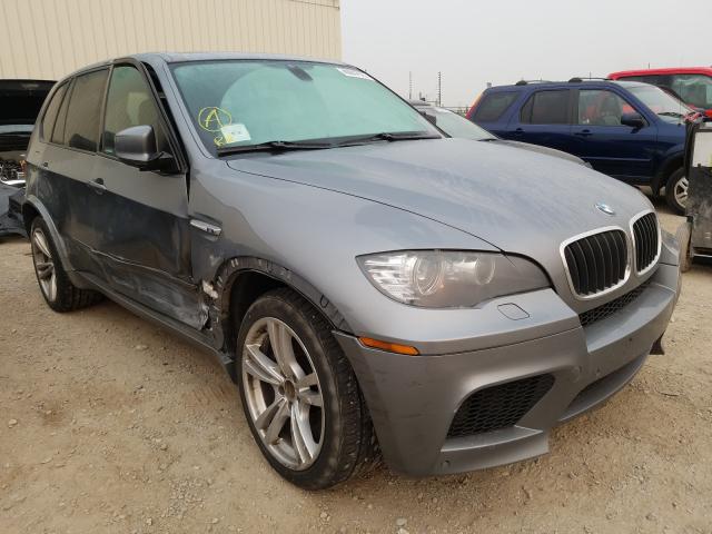 BMW X5 M 2010 5ymgy0c59alk25071