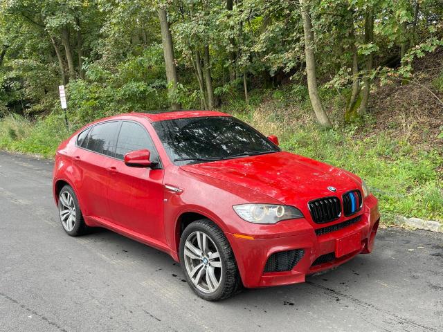 BMW X6 2011 5ymgz0c5xblk13817