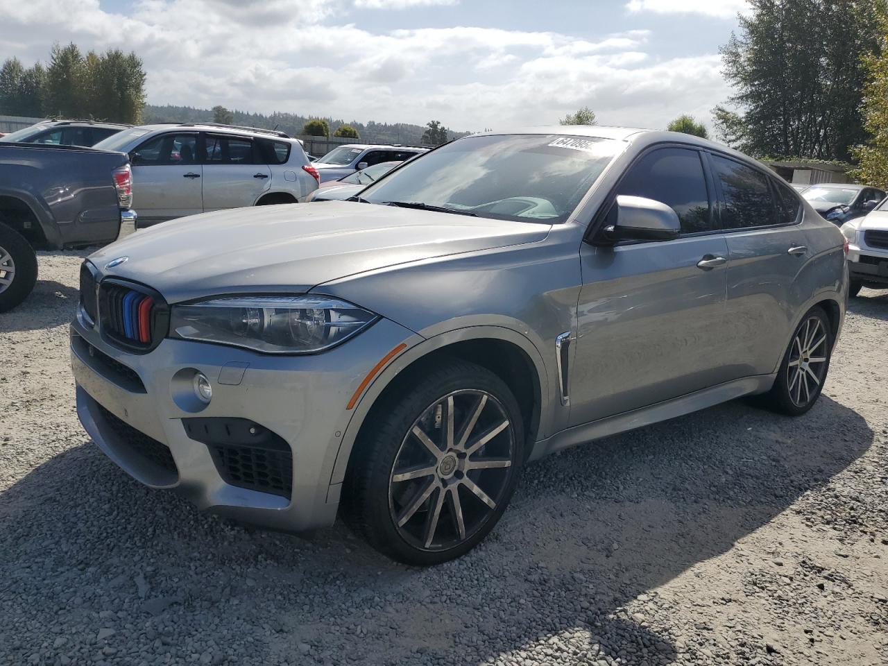 BMW X6 2016 5ymkw8c55g0r43290