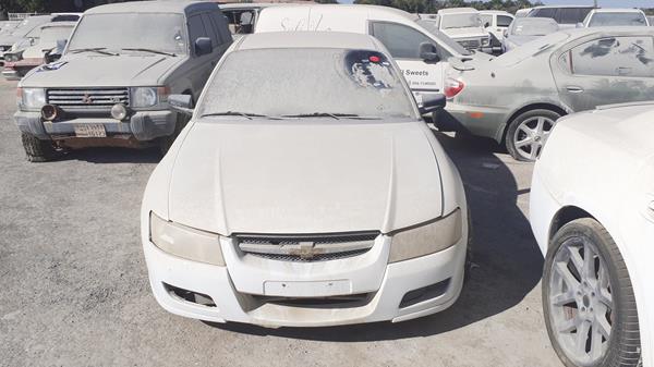 CHEVROLET LUMINA 2006 6g1zk52b66l517674