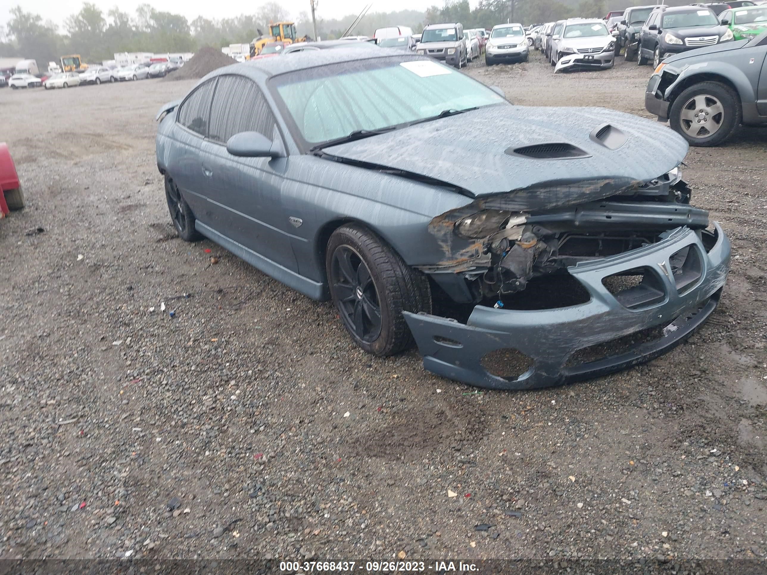 PONTIAC GTO 2006 6g2vx12u96l815352