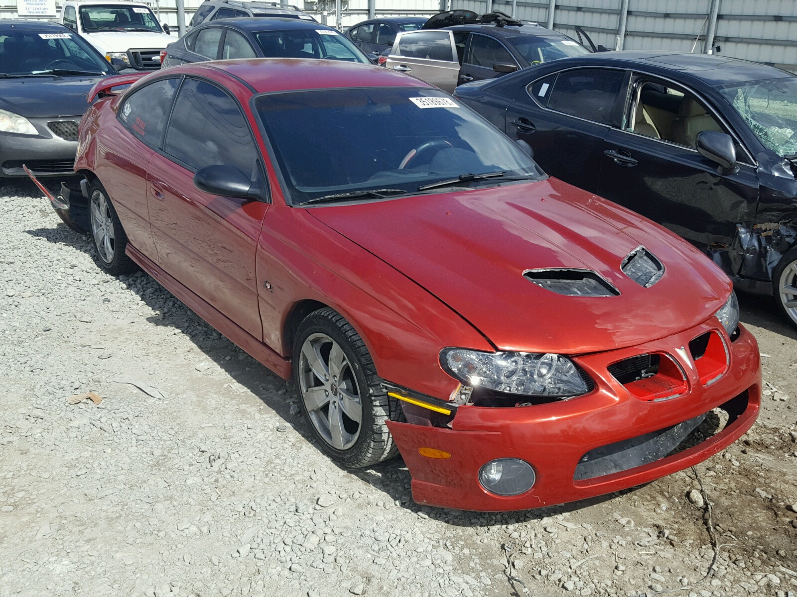 PONTIAC GTO 2006 6g2vx12ux6l544575