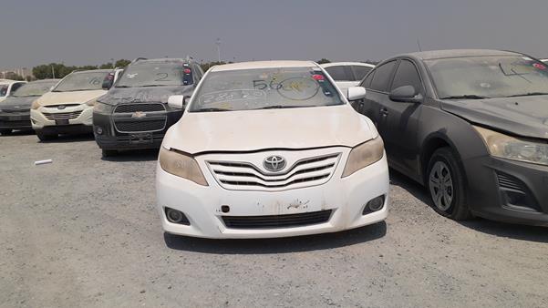 TOYOTA CAMRY 2010 6t1be42k5ax641931