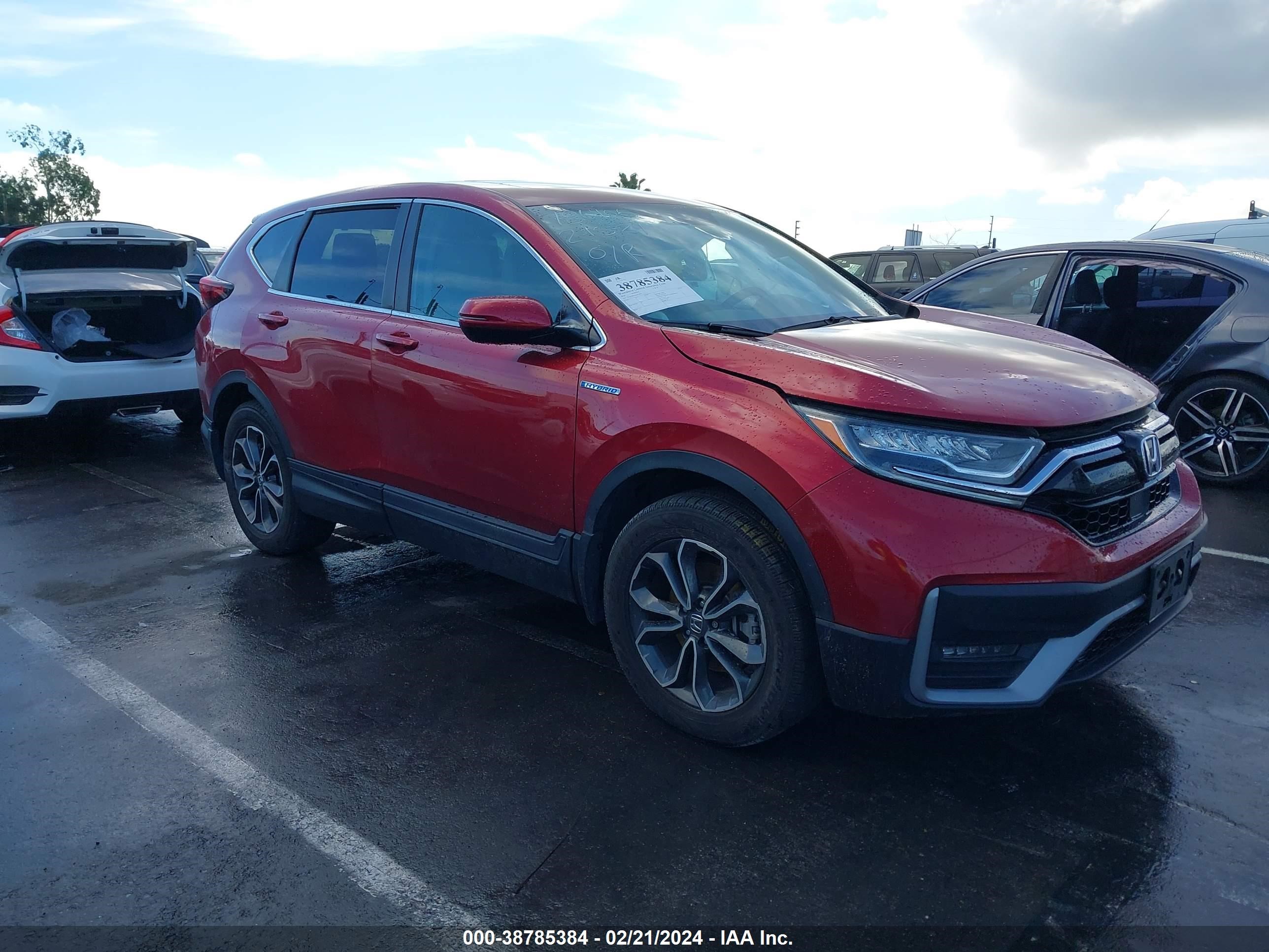 HONDA CR-V 2020 7fart6h54le012874