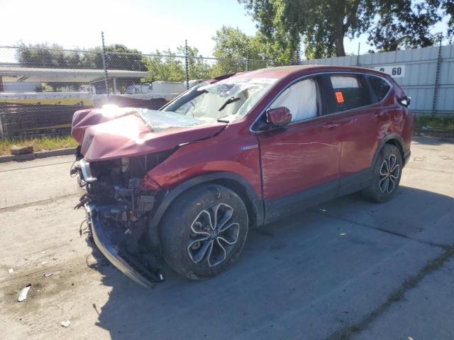 HONDA CR-V 2020 7fart6h55le010552