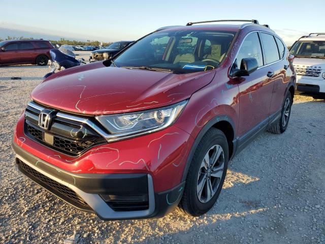 HONDA CR-V LX 2020 7farw1h2xle007338