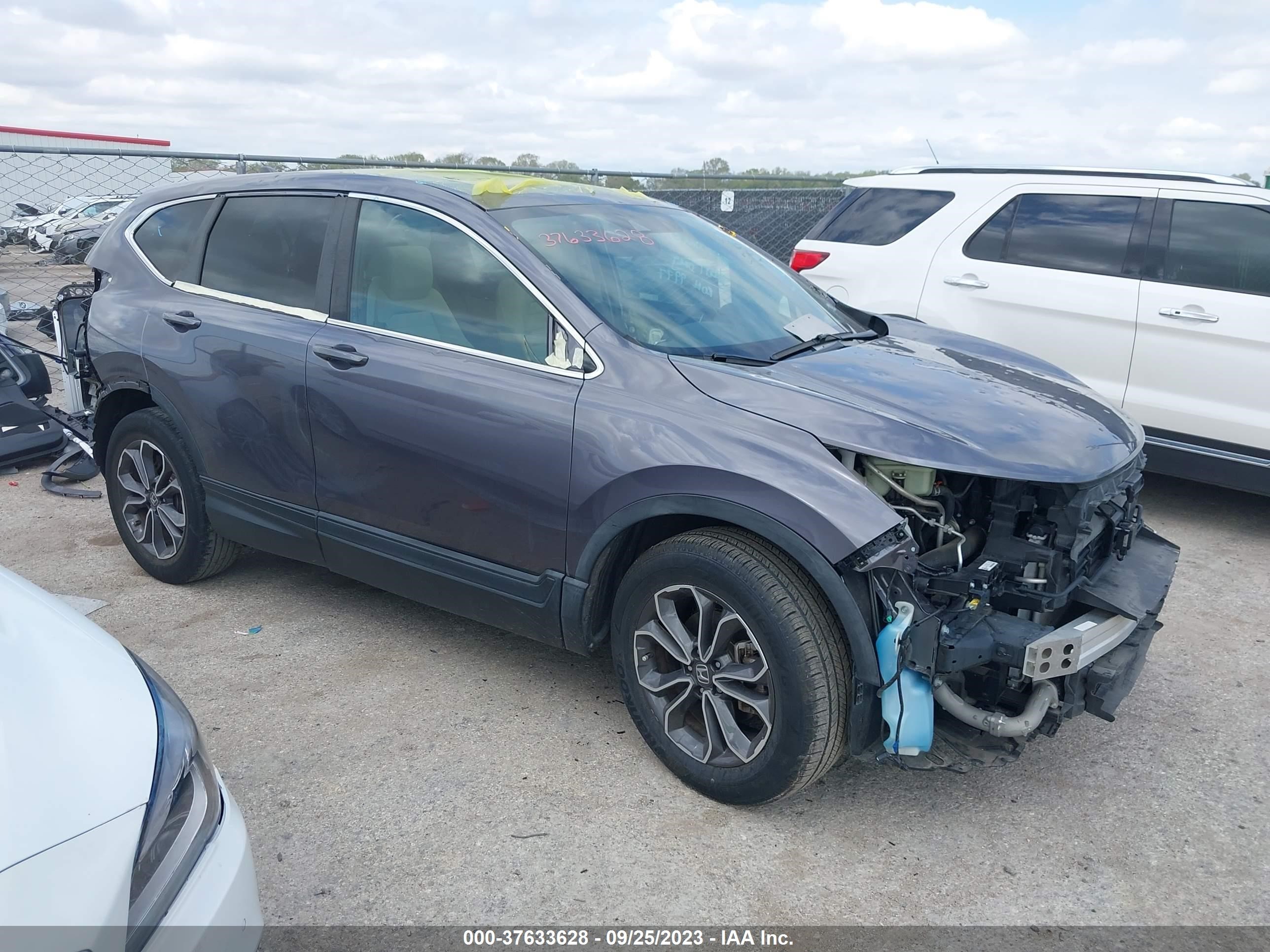 HONDA CR-V 2020 7farw1h54le023657