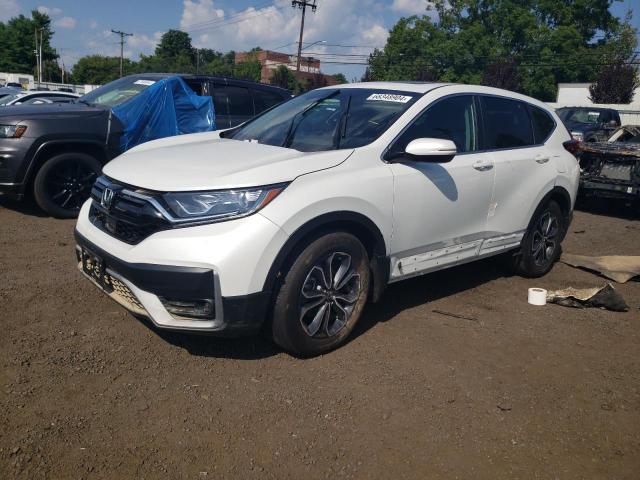 HONDA CR-V EX 2022 7farw1h54ne020437