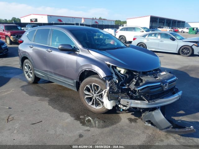 HONDA CR-V 2022 7farw1h81ne018056