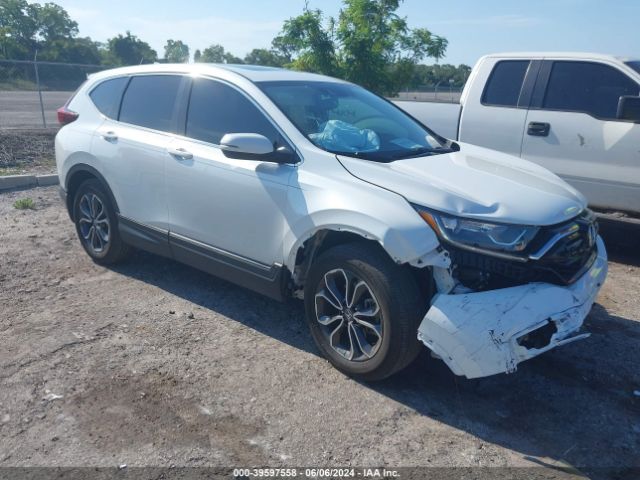 HONDA CR-V 2020 7farw1h82le027653