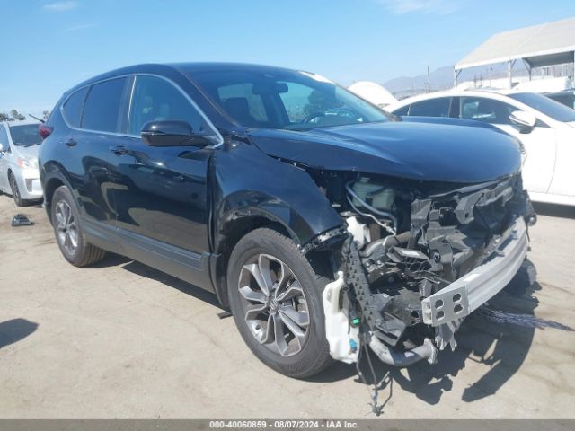 HONDA CR-V 2022 7farw1h84ne000456