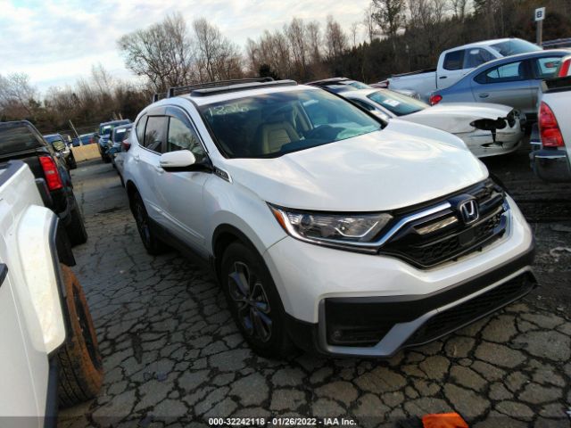 HONDA CR-V 2021 7farw1h87me001826