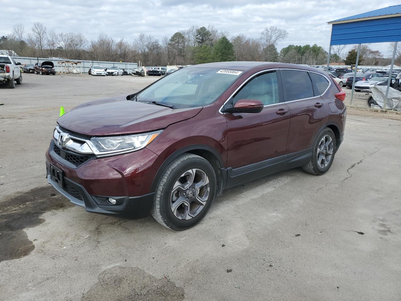 HONDA CR-V 2019 7farw1h8xke008296