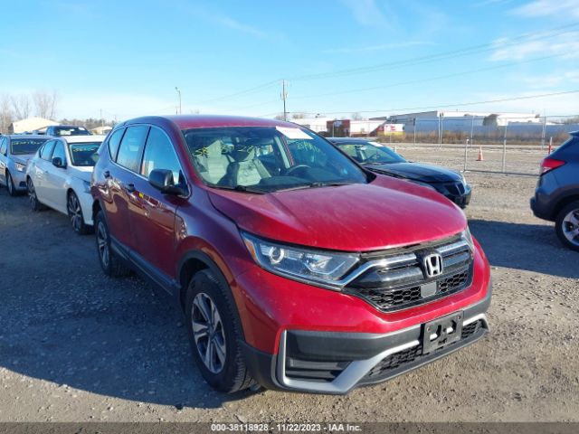 HONDA CR-V 2020 7farw2h26le008170