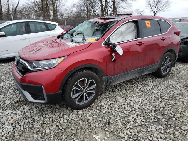 HONDA CR-V EX 2022 7farw2h50ne043297