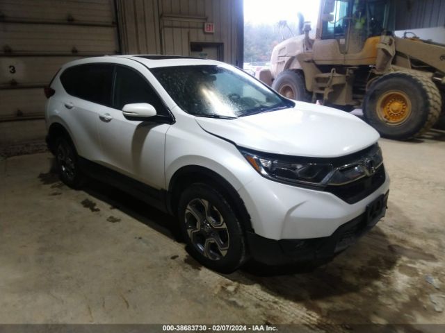 HONDA CR-V 2019 7farw2h56ke010509