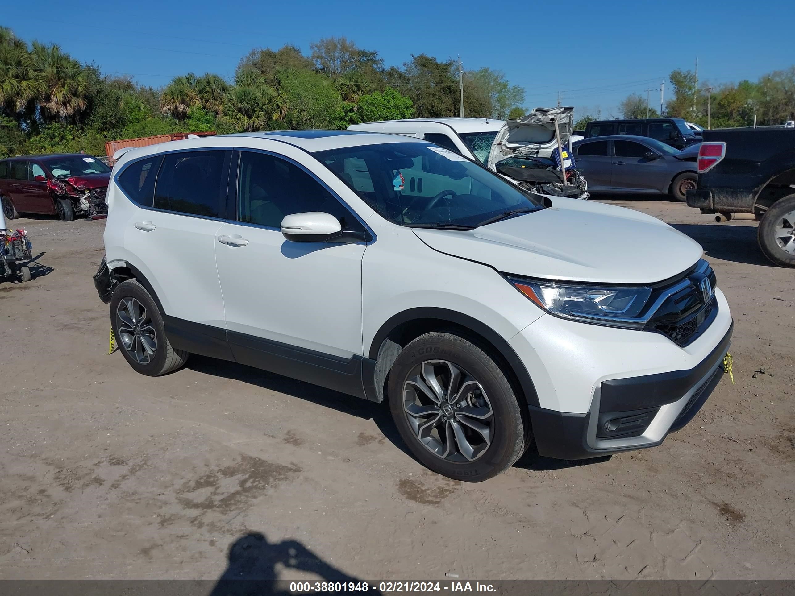 HONDA CR-V 2022 7farw2h59ne051804