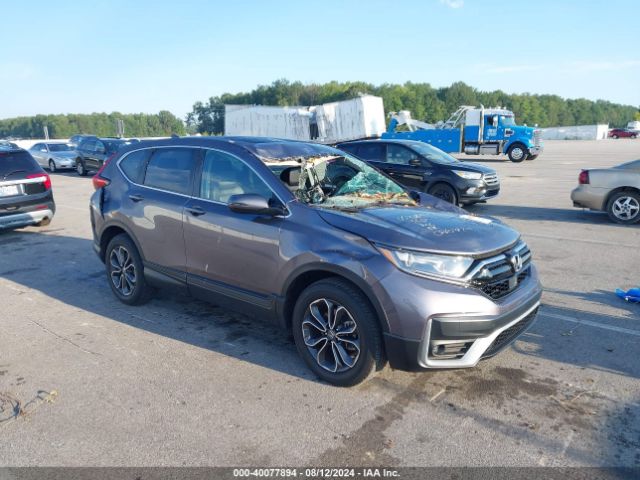 HONDA CR-V 2022 7farw2h81ne030942