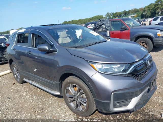 HONDA CR-V 2022 7farw2h82ne025569