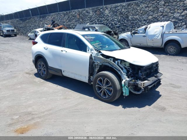 HONDA CR-V 2022 7farw2h84ne004898