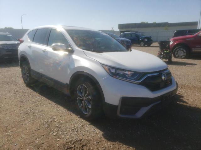 HONDA CR-V EXL 2022 7farw2h84ne013925