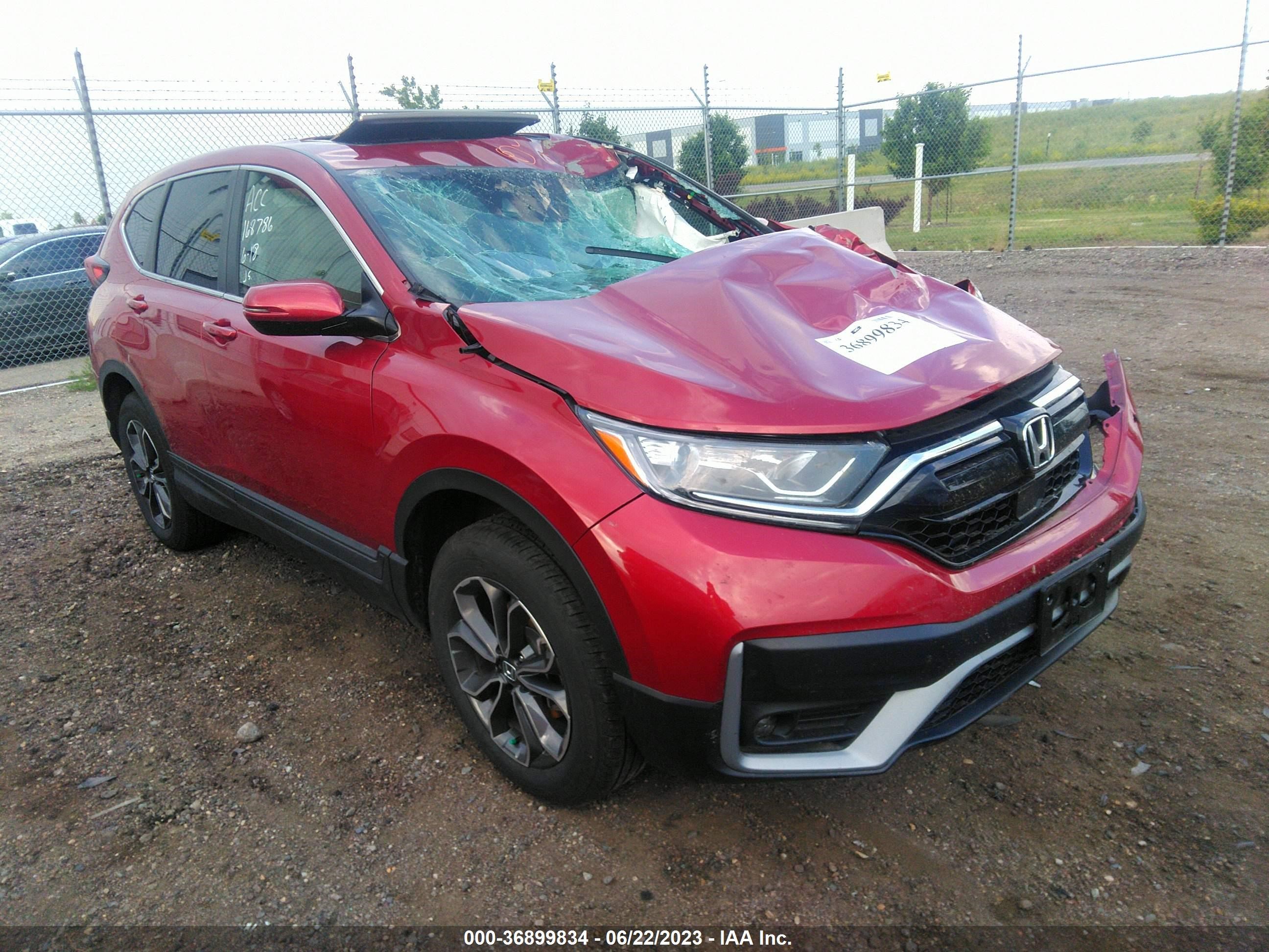 HONDA CR-V 2022 7farw2h84ne025394