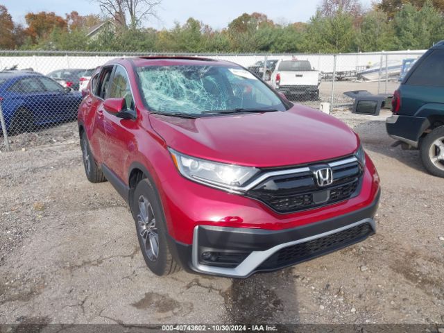 HONDA CR-V 2022 7farw2h84ne053213