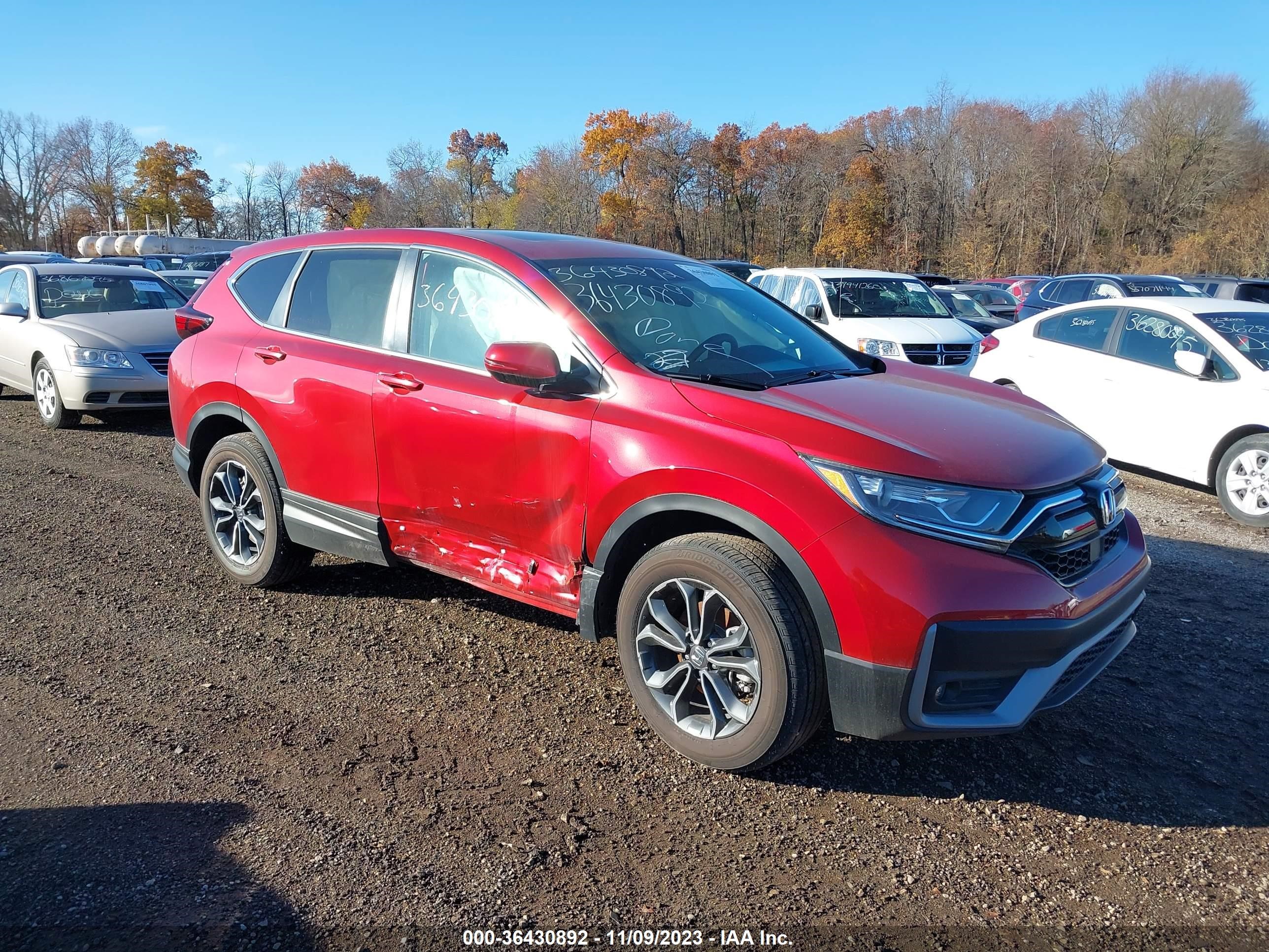 HONDA CR-V 2022 7farw2h86ne019807