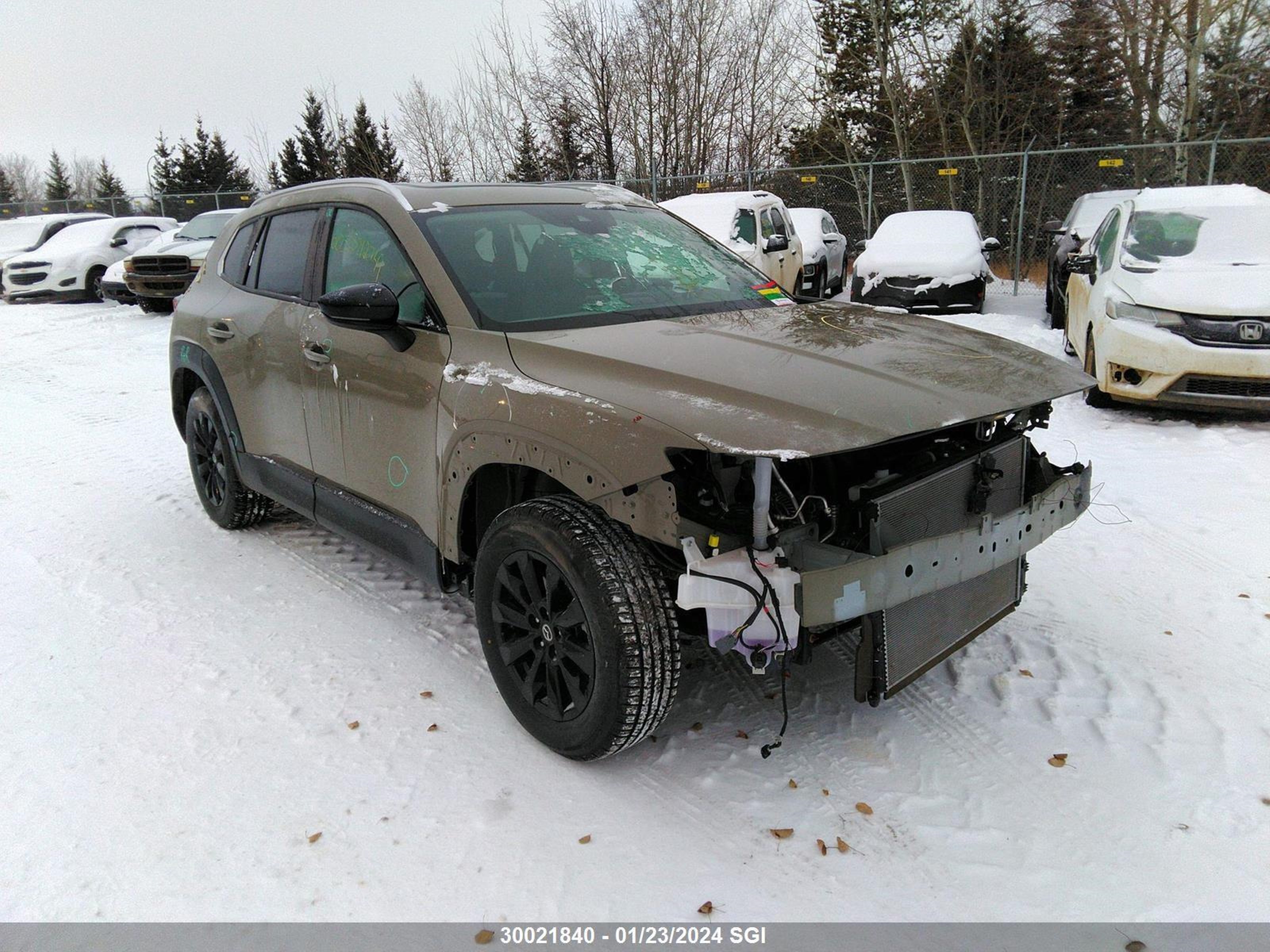 MAZDA CX-50 2023 7mmvabcm5pn103778