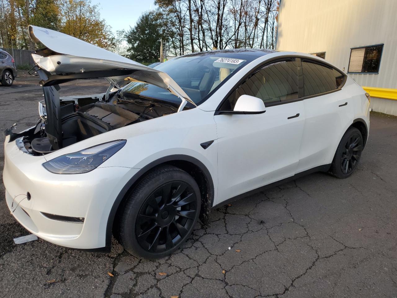 TESLA MODEL Y 2023 7saaygde0pf814285