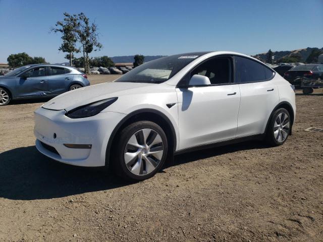 TESLA MODEL Y 2022 7saygaee0nf517707