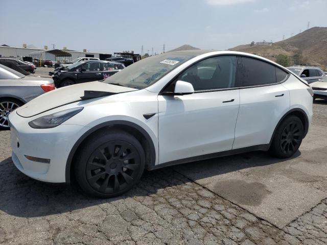 TESLA MODEL Y 2023 7saygaee0pf586447