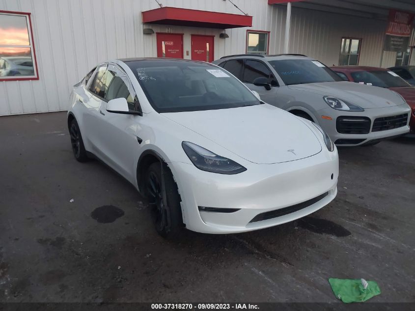 TESLA MODEL Y 2023 7saygaee0pf695572