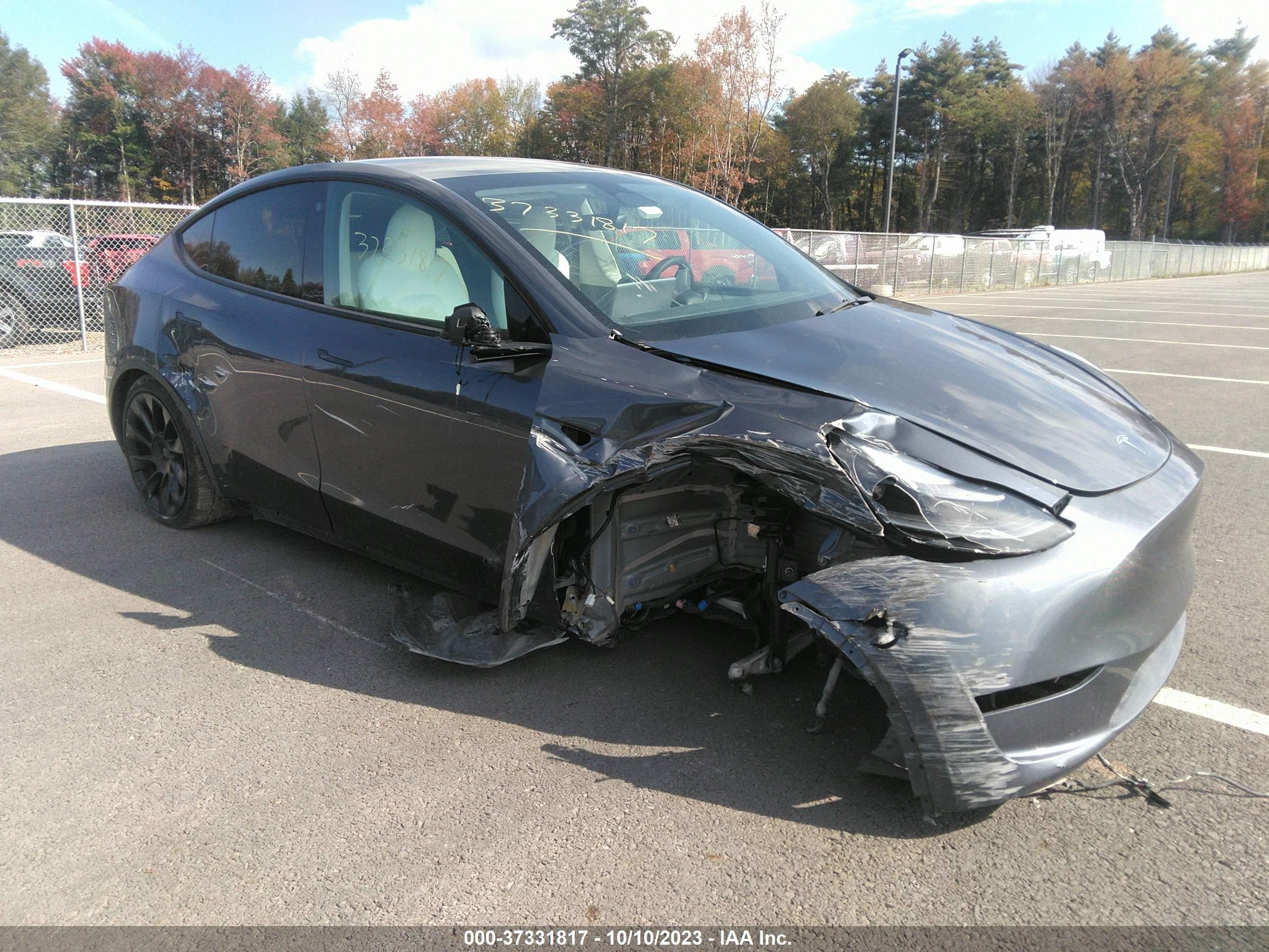 TESLA MODEL Y 2023 7saygaee0pf756676