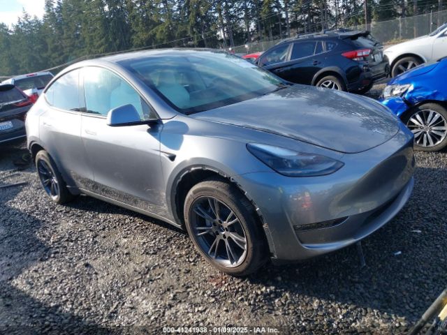 TESLA MODEL Y 2024 7saygaee0rf177075