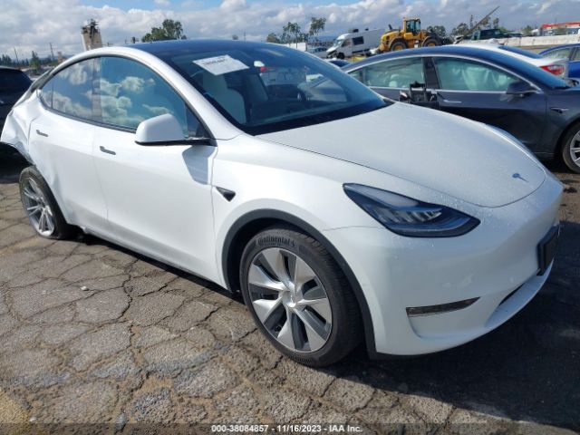 TESLA MODEL Y 2021 7saygaee1nf337880