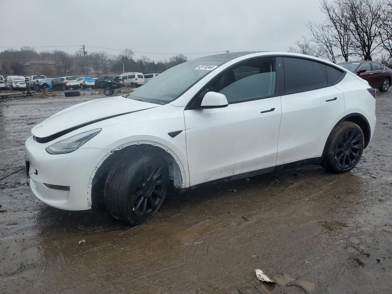 TESLA MODEL Y 2022 7saygaee1nf431788