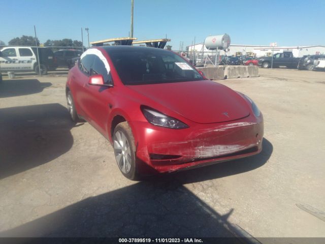 TESLA MODEL Y 2023 7saygaee1pf608102