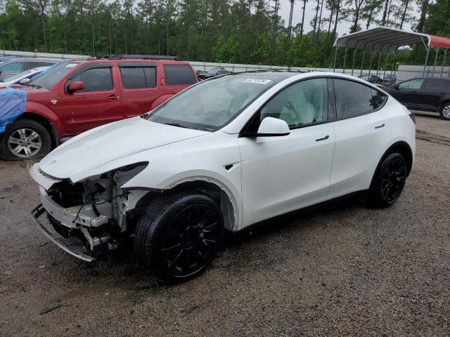 TESLA MODEL Y 2023 7saygaee1pf831174