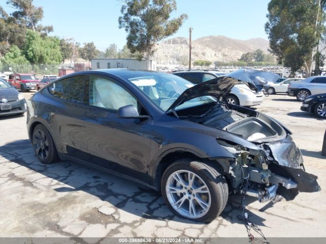 TESLA MODEL Y 2024 7saygaee1rf991798