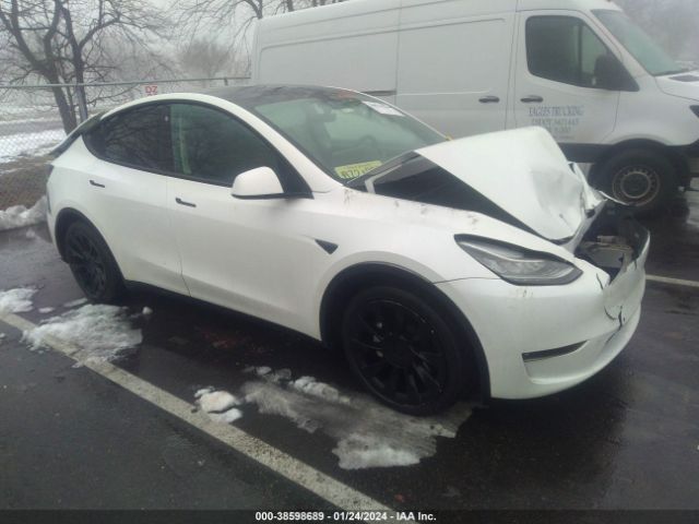 TESLA MODEL Y 2022 7saygaee2nf367082